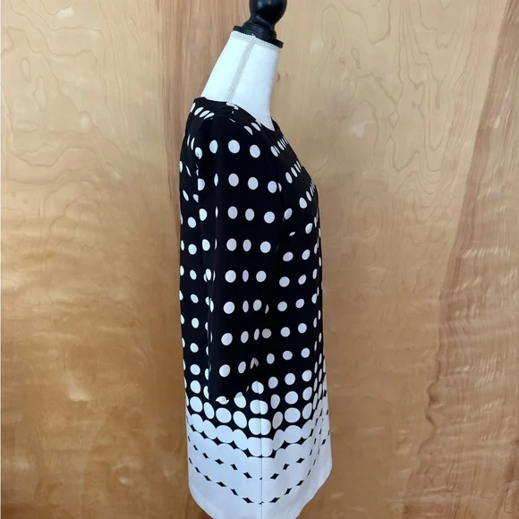 Banana Republic black and white polka dot shift dress - Picture 2 of 4